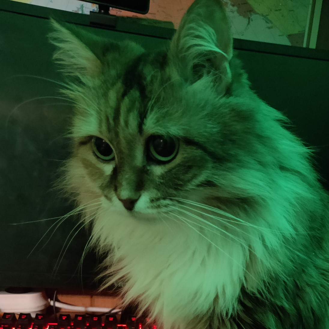 VladUnagimaki's avatar