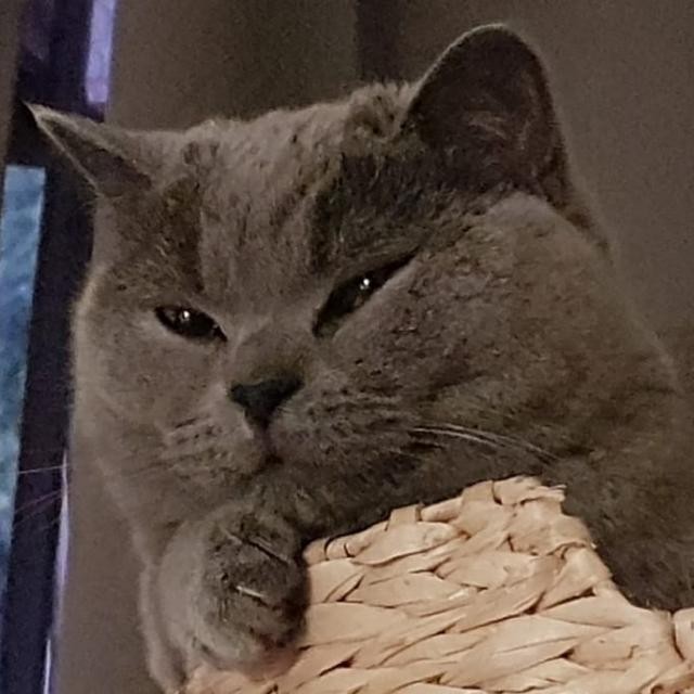Sebo's avatar