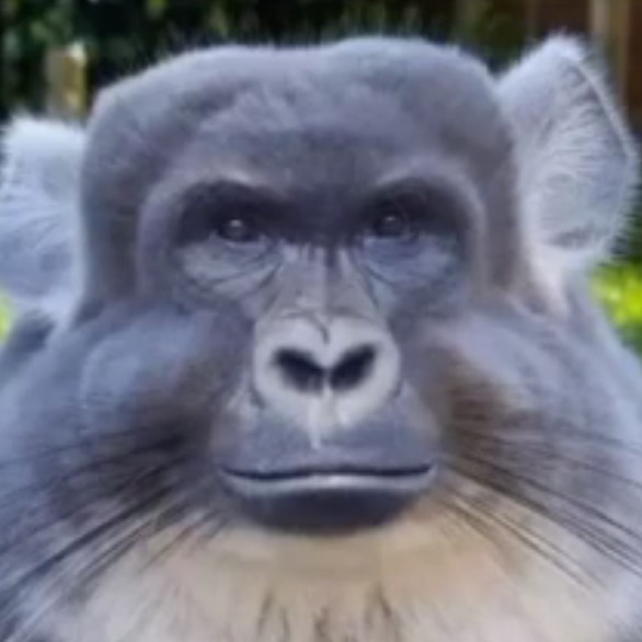Урoд е6aный's avatar
