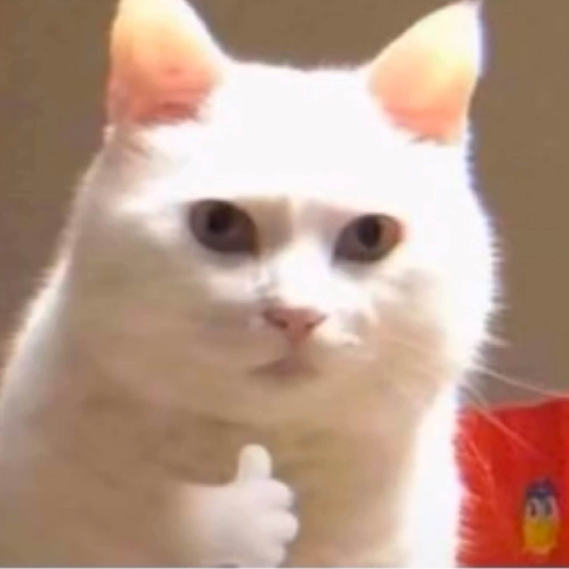 Govnovoz's avatar