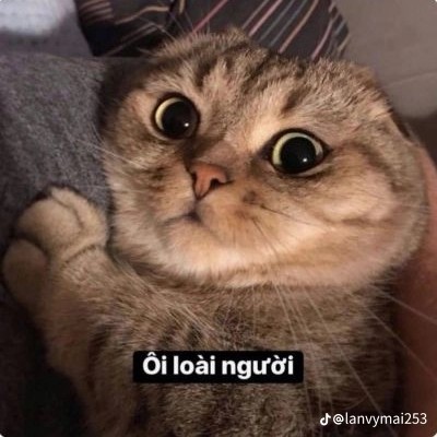 khó quá's avatar