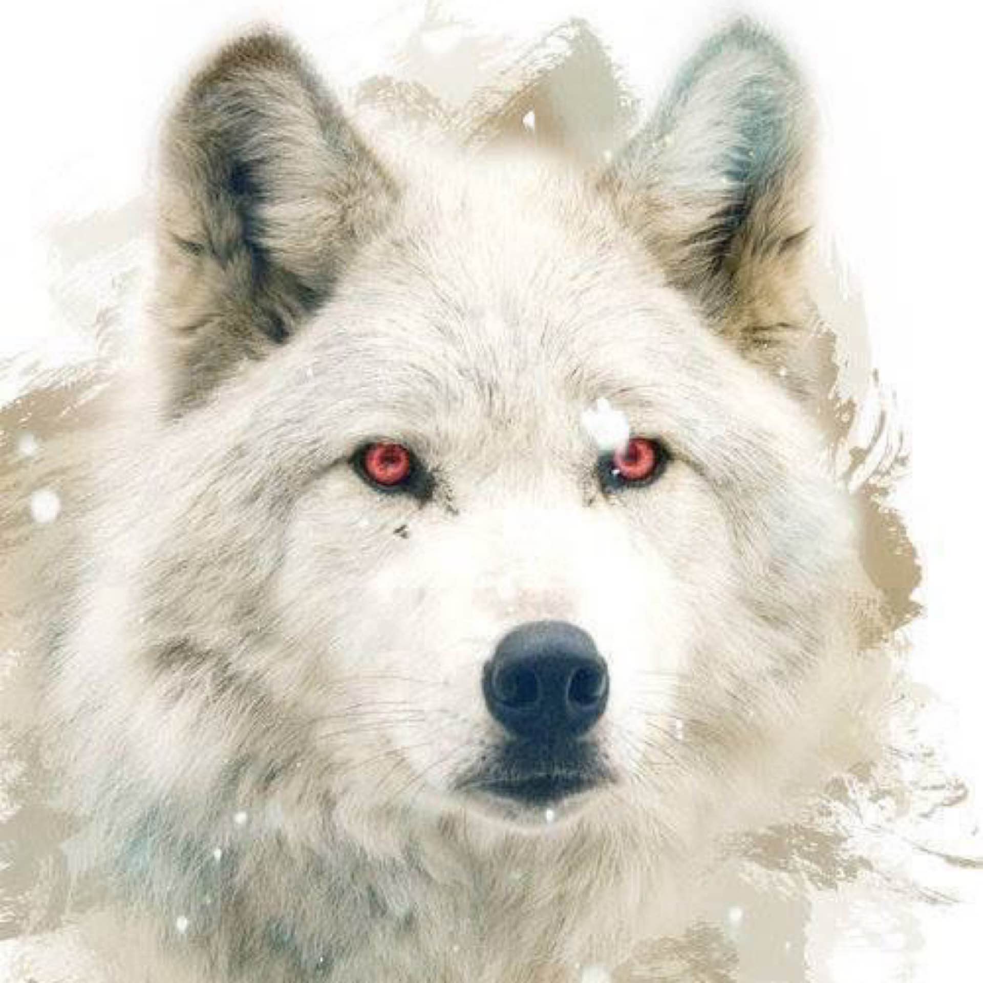 𝔾𝕙𝕠𝕤𝕥's avatar