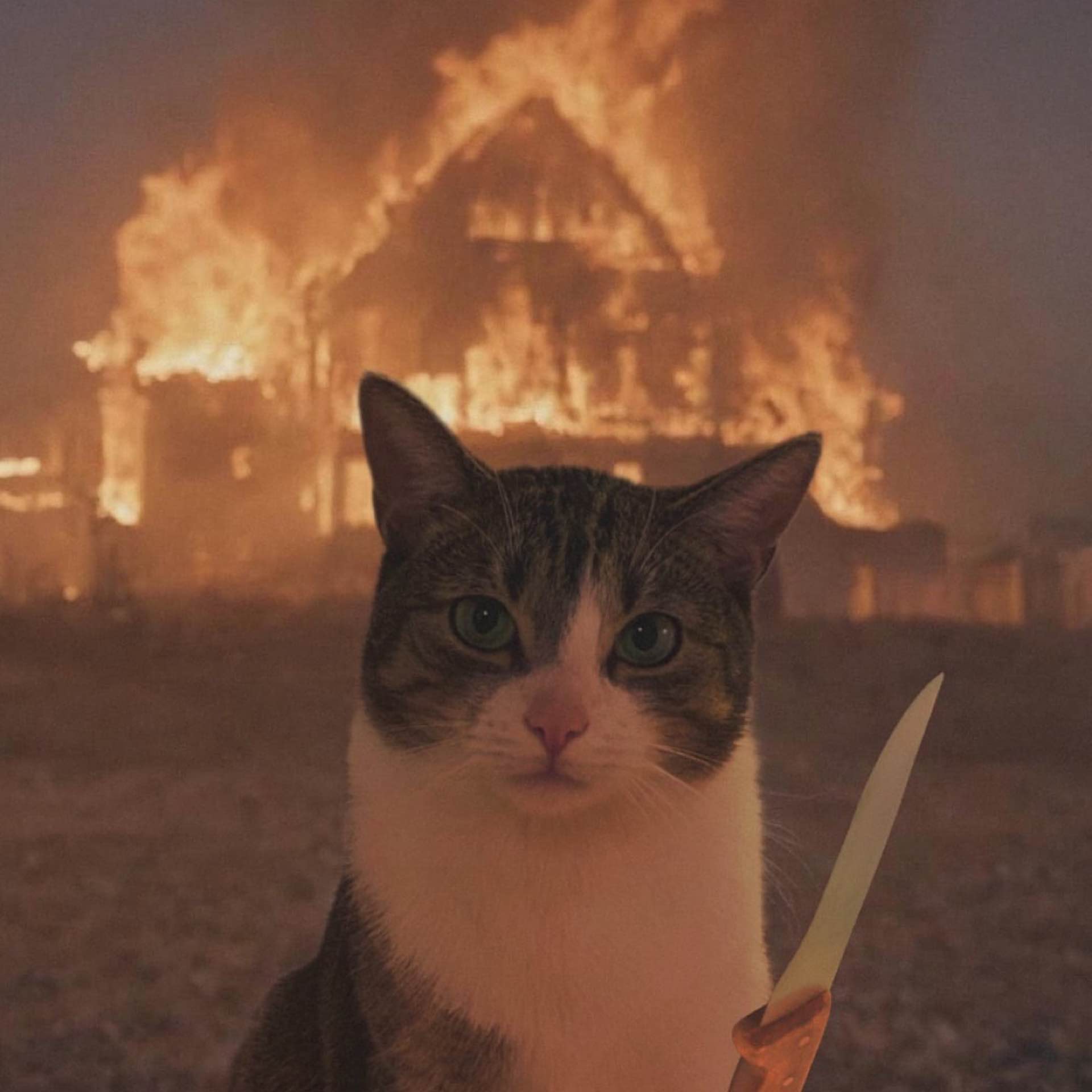 Krussages's avatar