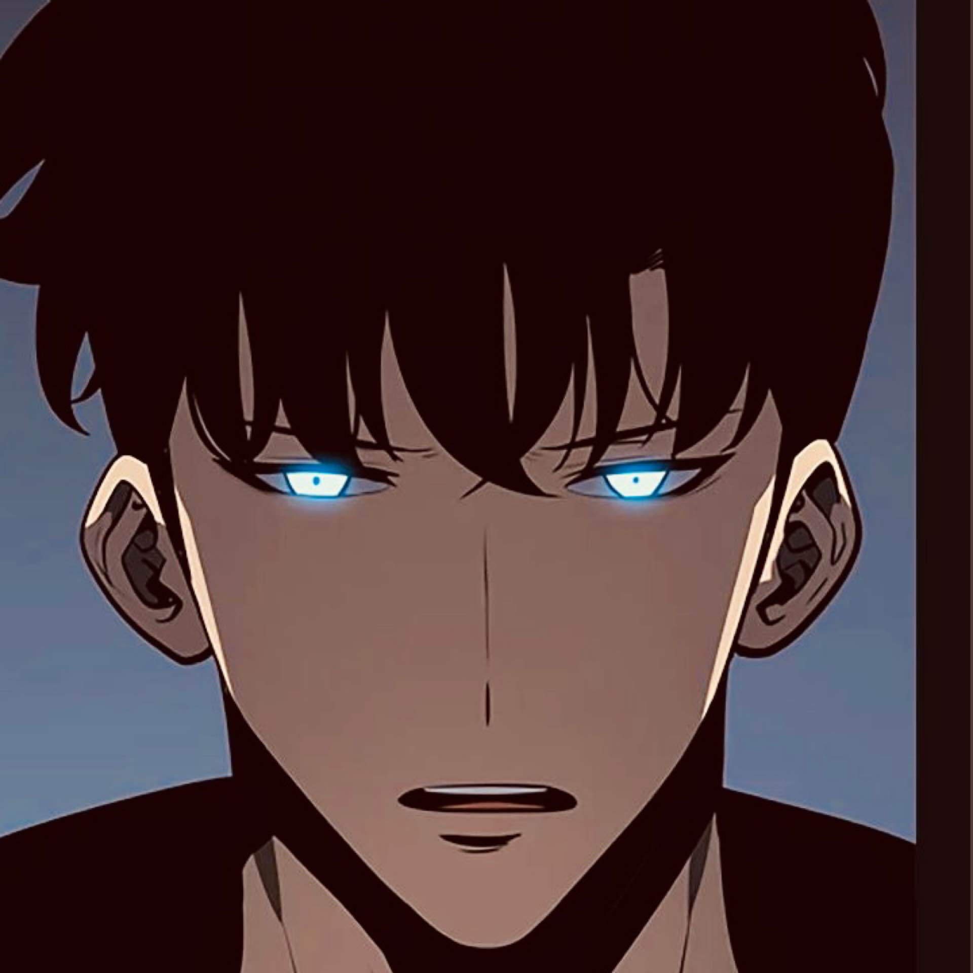 Canilive's avatar