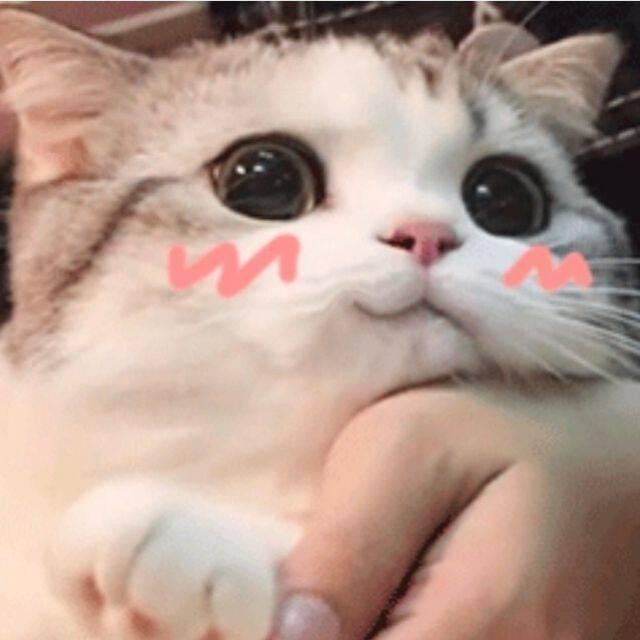 jouo1234's avatar