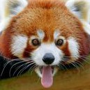 DrouKx 🐼's avatar