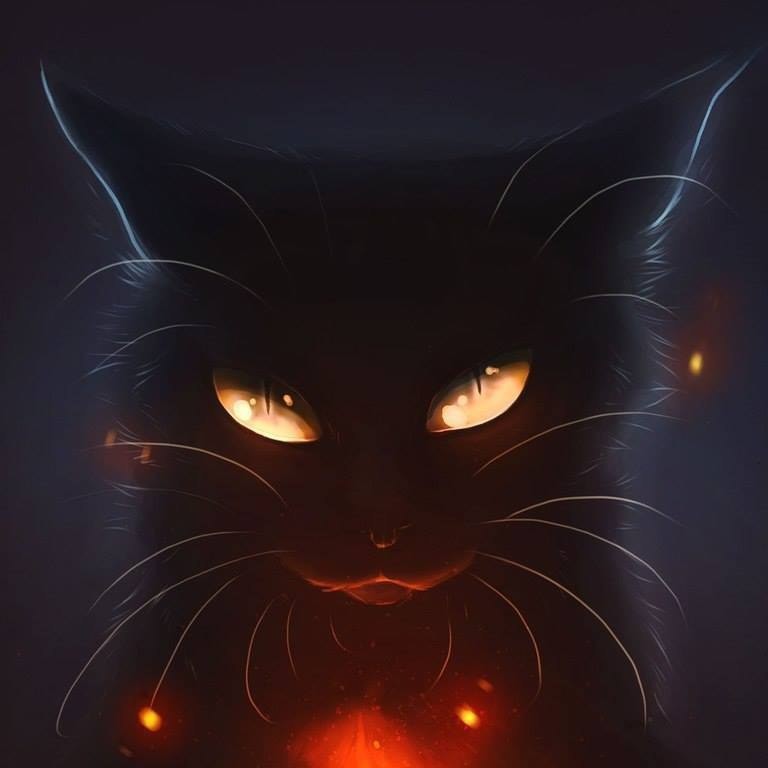 sokol's avatar