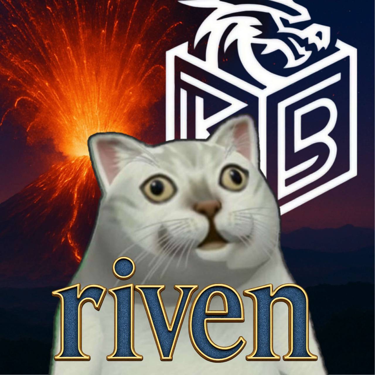 revin10219's avatar
