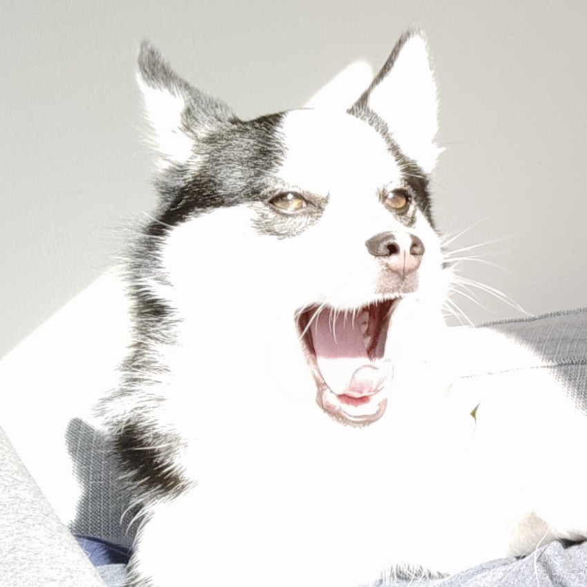 Mutesy's avatar