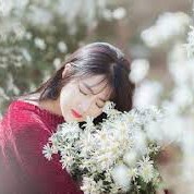 જ⁀➴χίσɭετ♡'s avatar