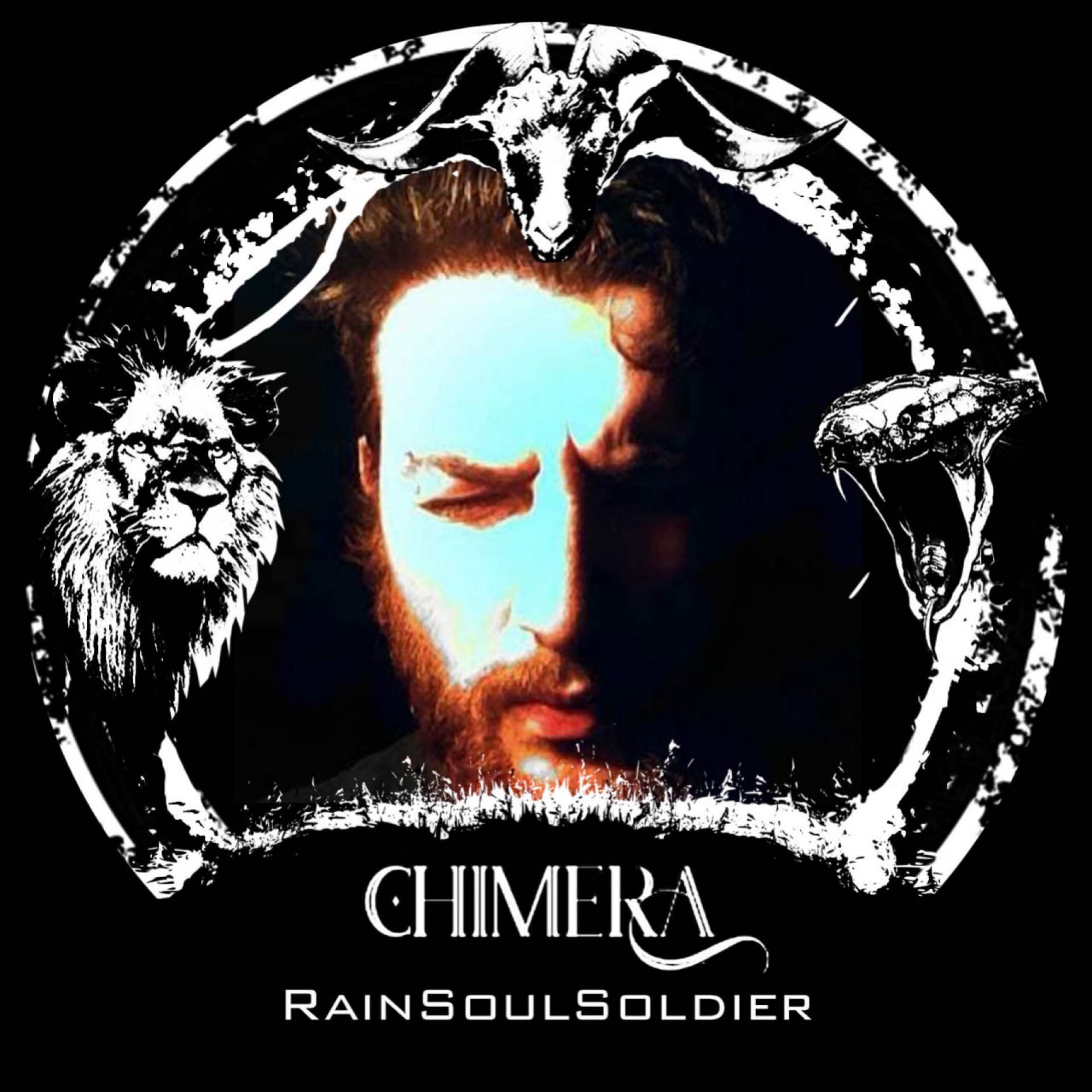 RainSoulSoldier's avatar