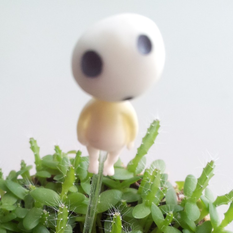 布朗尼's avatar