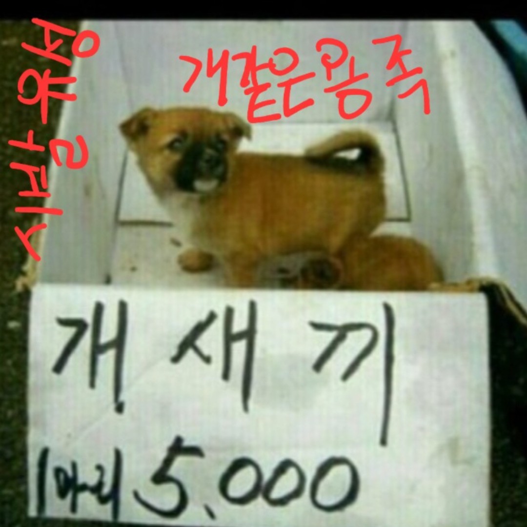 유성&용졳같은 게임's avatar