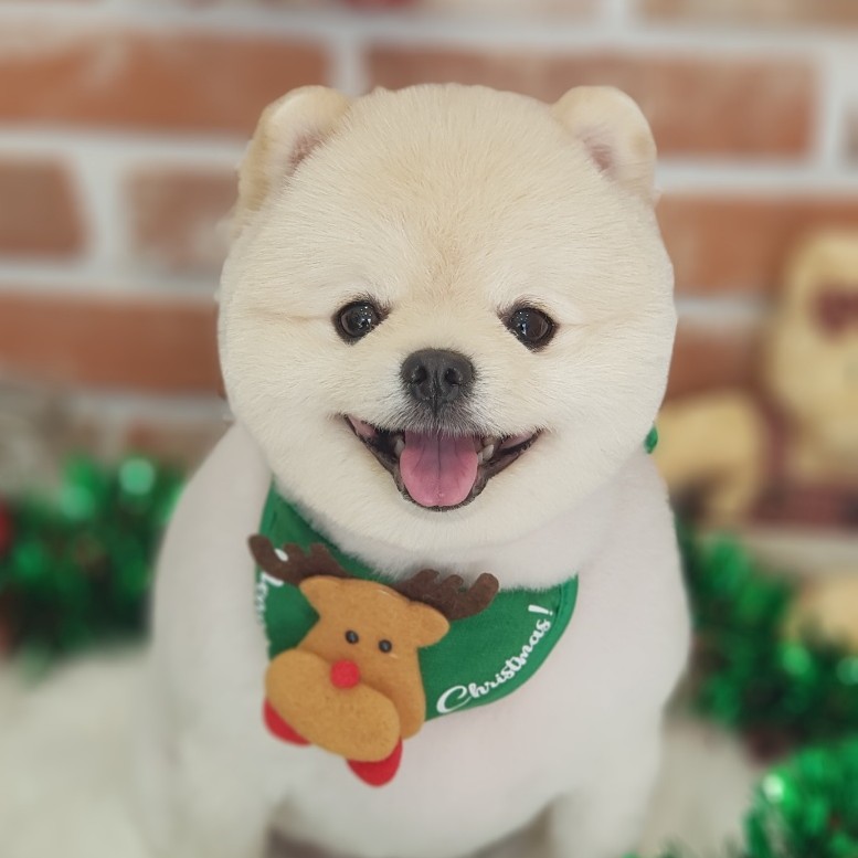 하잉이's avatar