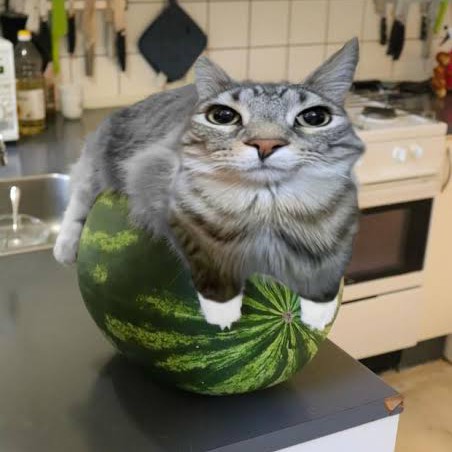 WatermelonCat's avatar
