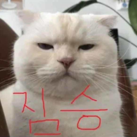 짐승's avatar