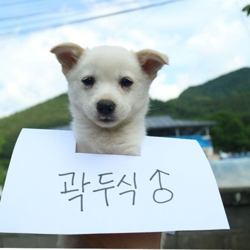 곽두식's avatar