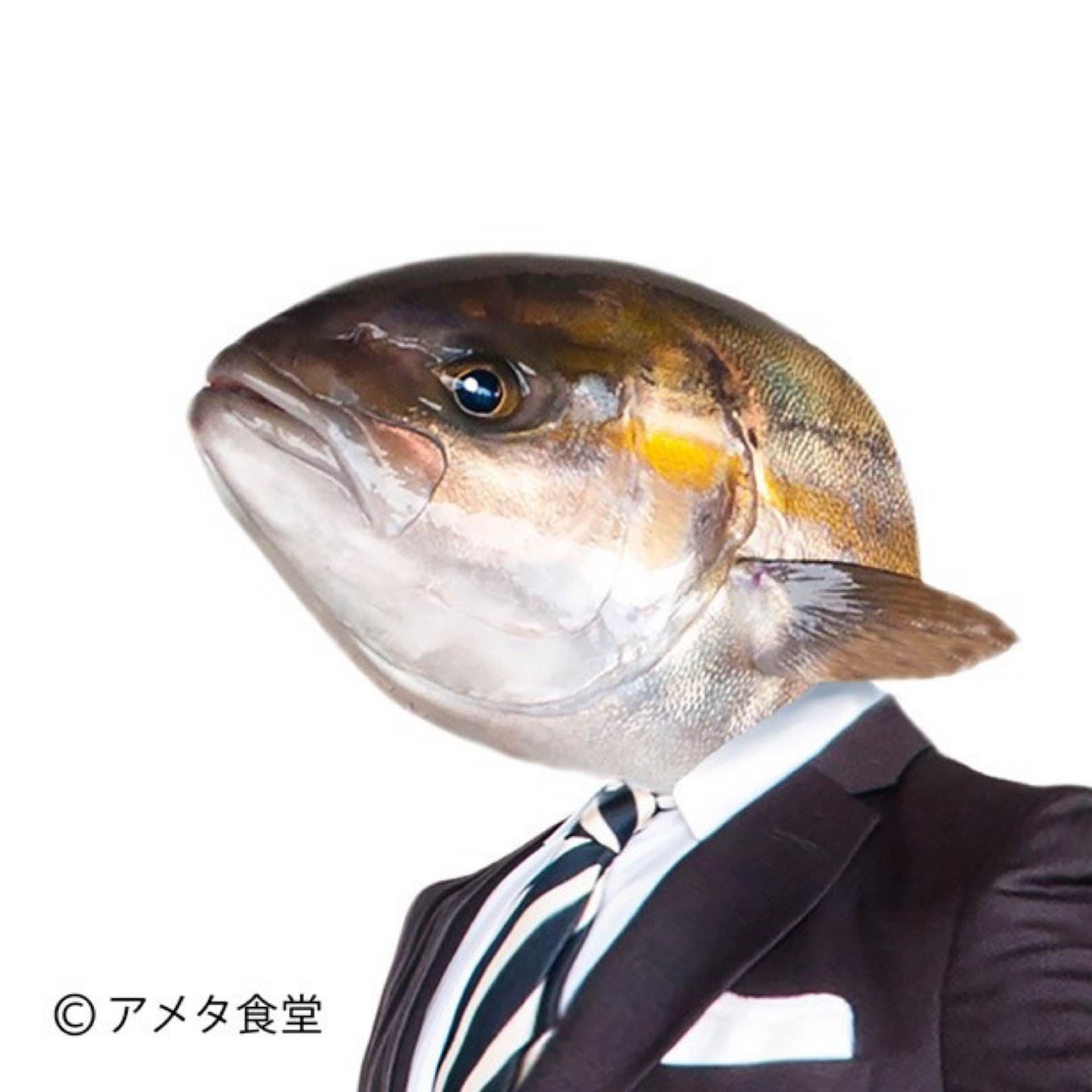 おたん's avatar