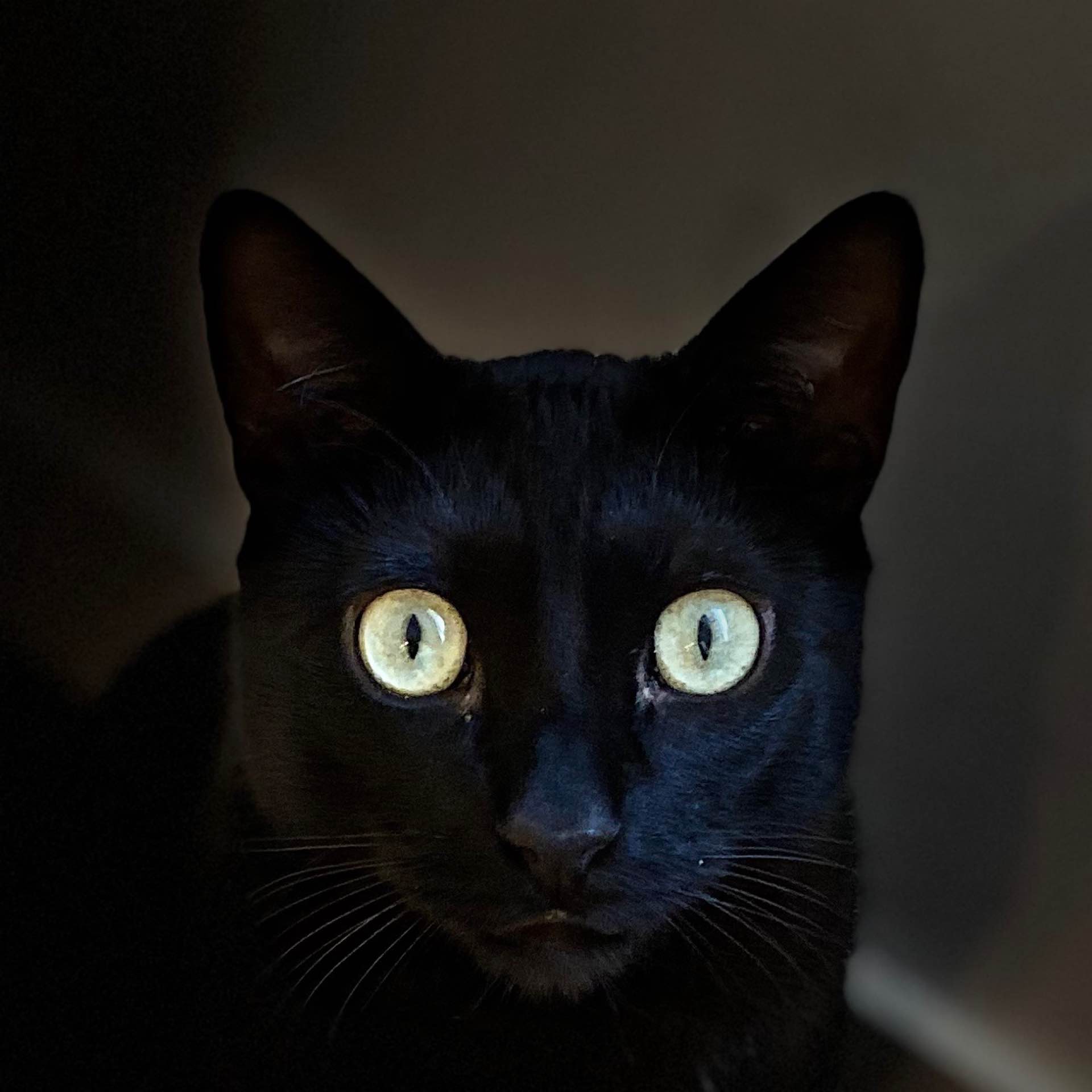 _Gsus_'s avatar